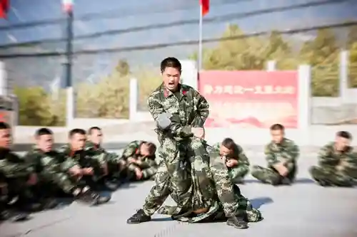 武艺夺命盾牌阵容搭配(郝昭反击盾阵容搭配推荐)插图6