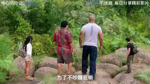 地心历险记2(地心历险记神秘岛免费播放)