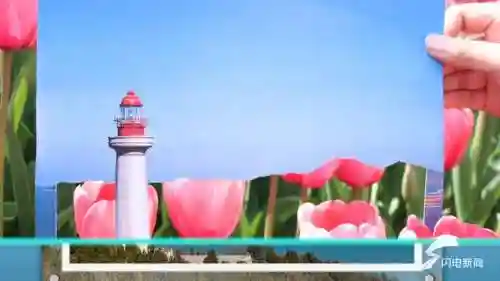 蓝线挑战最强阵容搭配图片(蓝卡队最常见的队伍搭配)插图13