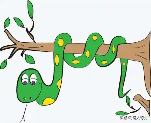 中国八三年蛇灾(83蛇灾最后是谁解决的)插图8
