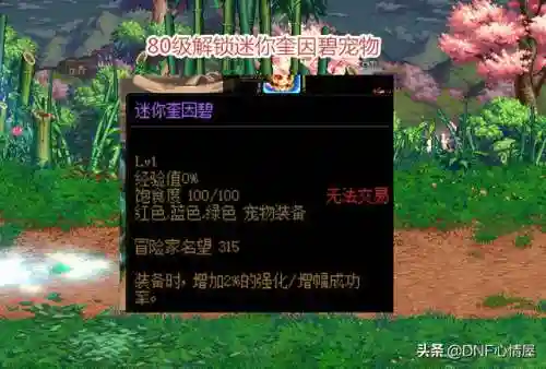 永恒大陆三个宠物要多久(奥兰奶奶的四个宠物)插图2
