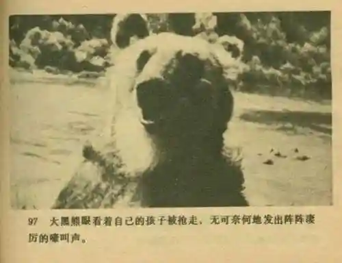 王中王马王中王资料大全(澳门王中王100%的资料)插图99