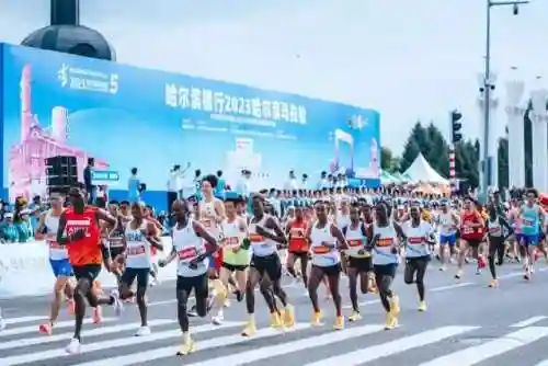 强风羁绊搭配什么阵容(火影风主后期最强阵容)插图4
