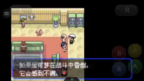 口袋妖怪绿宝石493(绿宝石493所有精灵分布)插图11