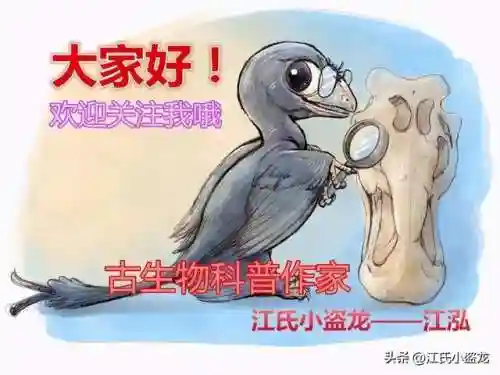 中国最后一只恐龙(中国拍到活的霸王龙)插图12