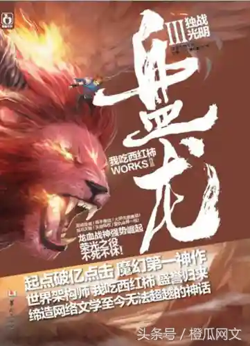 魔法小说十大巅峰之作(十大必看完结魔法小说)插图3