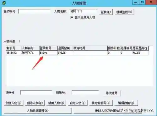 飞飞世界隐藏英雄密码(奇幻世界英雄无限钻石版)插图2