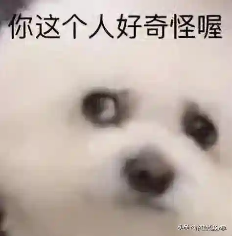 40个顶级搞笑笑话(积极向上正能量的幽默笑话)插图35