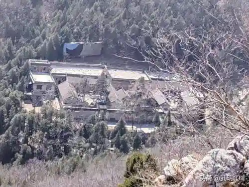 仙境游记推荐阵容搭配(歧路旅人2阵容搭配)插图30