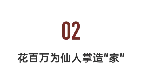 仙人掌最新阵容搭配(种仙人掌用什么土最好)插图10