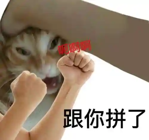 创世之力阵容搭配图(创世纪神的最强组合)插图11