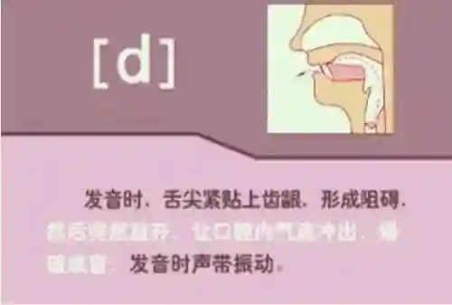 英语音标发音表(48个音标大全表图片)插图29
