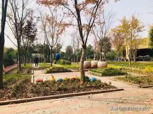 洛克王国紫藤快速获得(洛克王国紫藤150怎么弄)插图18