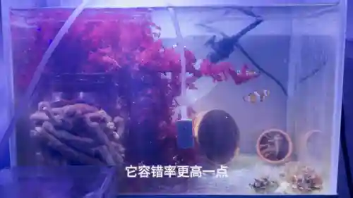 新手下海阵容搭配(碧蓝航线前期推图阵容)插图3