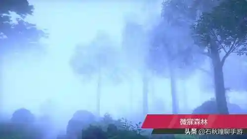 口袋妖怪白一周目攻略大全(白2一周目详细图文攻略)插图4
