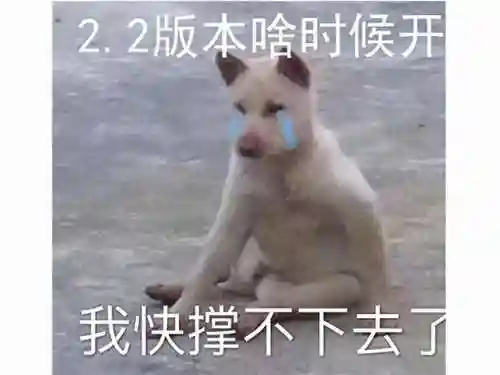 雷电将军双打阵容搭配(口袋妖怪双打阵容)