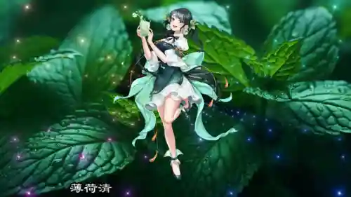 薄荷物语搭配阵容图鉴最新(心力物语最强阵容)插图1
