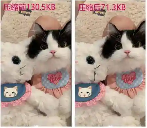图片制作神器(常用作图软件)插图18
