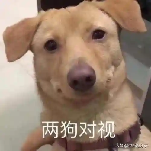 40个顶级搞笑笑话(积极向上正能量的幽默笑话)插图8