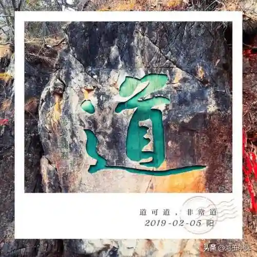 九真伤阵容搭配(新版九五至尊阵容)插图7