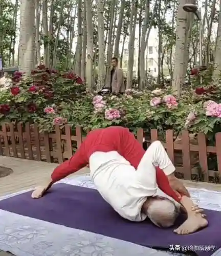 瑜伽老师可以做到多大年龄(当瑜伽老师要什么条件)插图9 瑜伽老师可以做到多大年龄(当瑜伽老师要什么条件)插图9