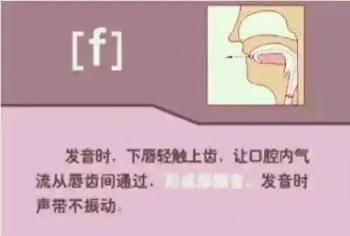 英语音标发音表(48个音标大全表图片)插图34