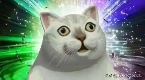 克制肉的阵容搭配(克制养猪流打法最佳阵容)插图10