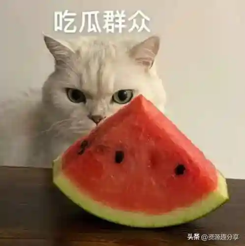 40个顶级搞笑笑话(积极向上正能量的幽默笑话)插图39