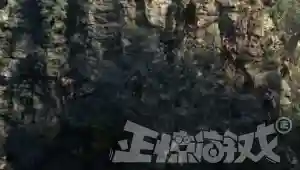 斗战神万妖集结高清(万妖集结大战天兵天将的电影)插图5
