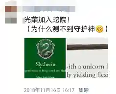 中文版霍格沃茨分院比例测试(wizardingworld分院测试)插图13