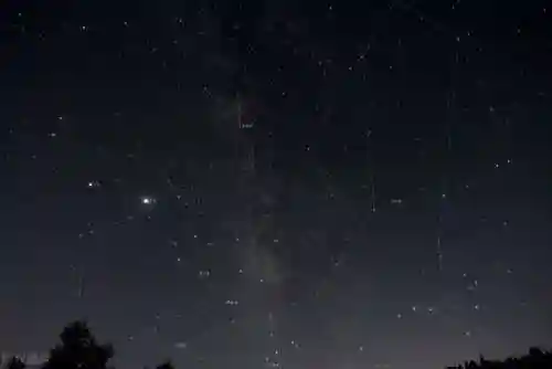天赐福星阵容搭配图(多多自走棋阵容搭配图)插图2