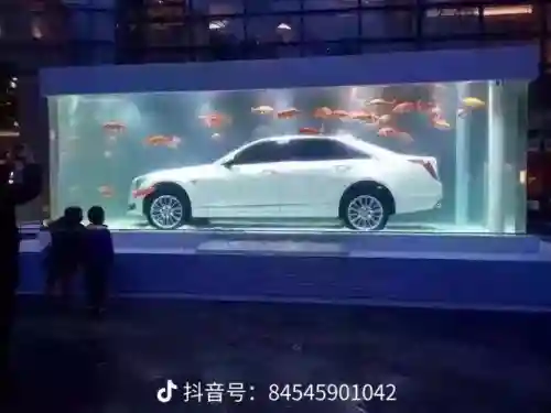 纯爱战士阵容搭配图(碧蓝航线t0阵容)插图4