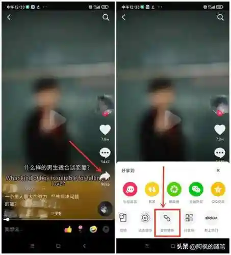 平民小白阵容搭配攻略(口袋妖怪白金推荐阵容)插图4