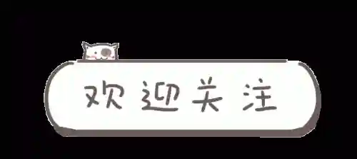双岩阵容怎么搭配(重云搭配什么阵容)