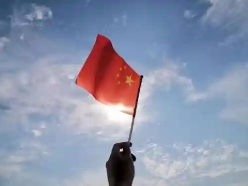 部落爱国阵容怎么搭配(部落冲突部队搭配)