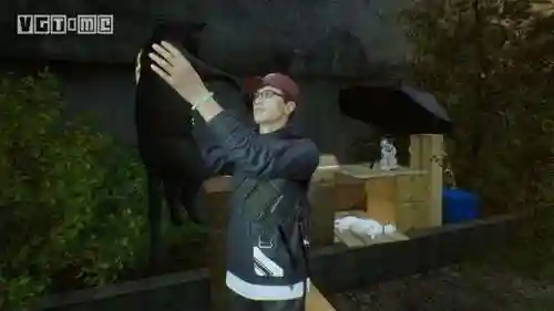 怪兽入侵猫咪阵容搭配(惊奇队长里面的猫咪是什么怪兽)插图3