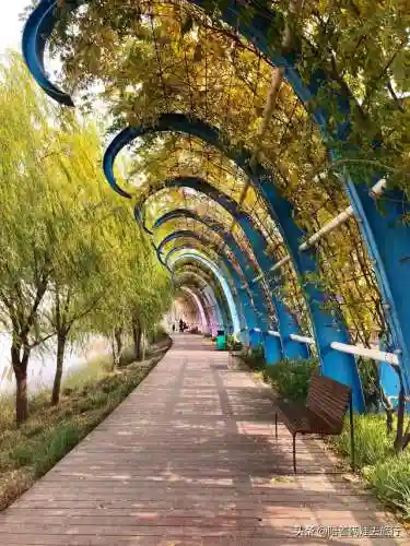 洛克王国紫藤快速获得(洛克王国紫藤150怎么弄)插图10