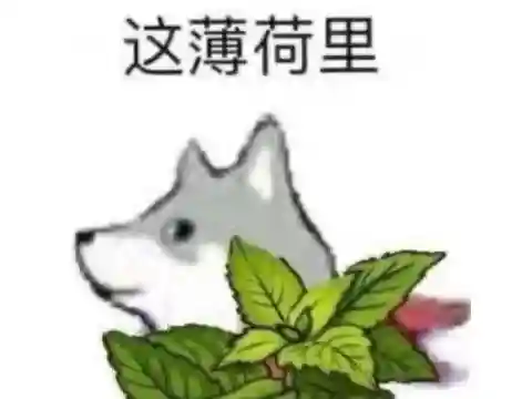 泰达米尔梦魇(lol蛮子梦魇绝版了)插图2 泰达米尔梦魇(lol蛮子梦魇绝版了)插图2