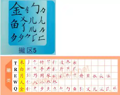 五笔字根表图片(五笔打字初学者怎么练)插图6