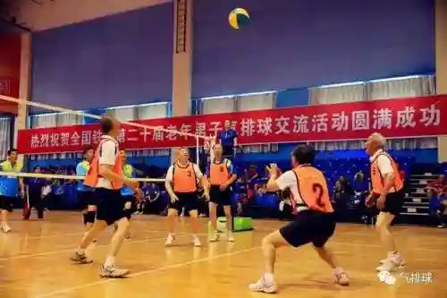 排球的基本战术阵容搭配(排球四种基本战术)
