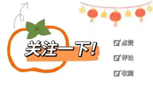 陆贞传奇搭配阵容推荐(陆贞传奇的演员表介绍)