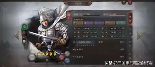 天命赵云阵容搭配图解(真赵云无双25将阵容详解)