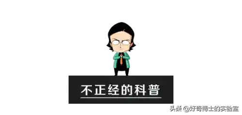 淦是什么意思(淦这个梗的意思)