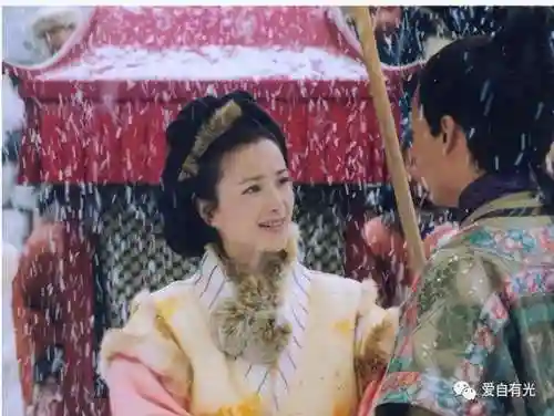 从射雕开始霸美(射雕重生之我是穆念慈)插图10