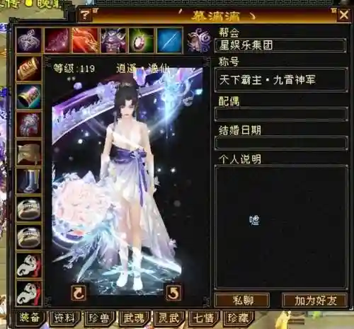 星域战队阵容搭配(灵动骑士阵容推荐)插图1