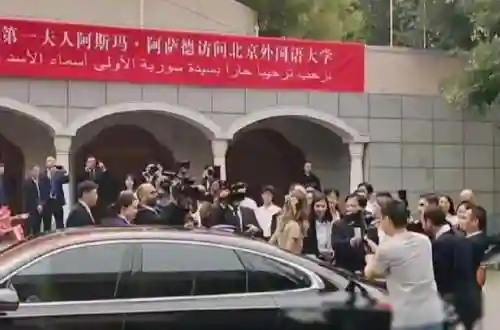安倍保镖阵容搭配图片(极限银角阵容搭配推荐)插图4 安倍保镖阵容搭配图片(极限银角阵容搭配推荐)插图4