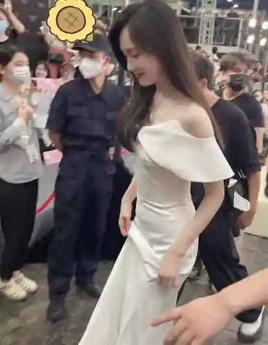双排护卫阵容搭配(蜀盾最强阵容搭配)插图10
