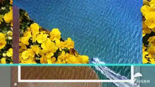 蓝线挑战最强阵容搭配图片(蓝卡队最常见的队伍搭配)插图1