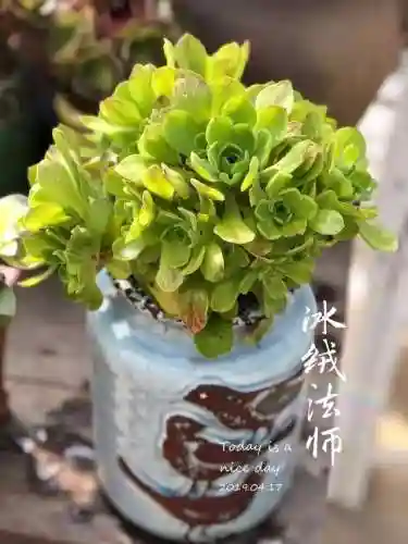 法师最牛最霸气名字(一眼就看出是玩法师的ID)插图84