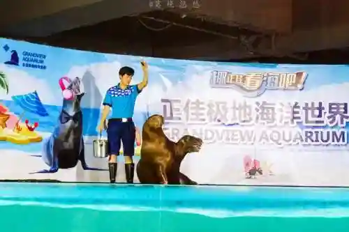 炫舞极地搭配阵容(炫舞时尚先锋sss搭配)插图45